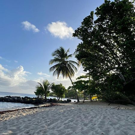 Villa Caraibes سانت لوسي المظهر الخارجي الصورة