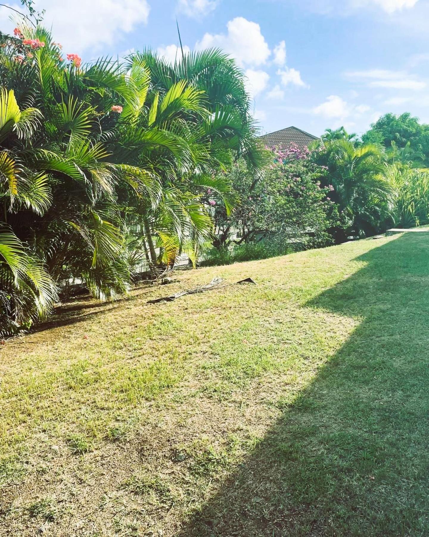 Villa Caraibes سانت لوسي المظهر الخارجي الصورة