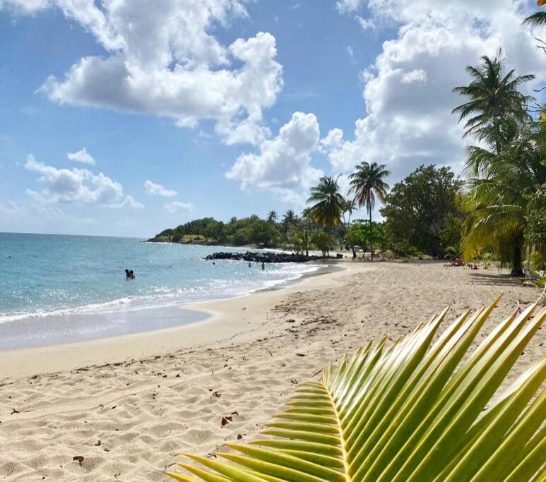 Villa Caraibes سانت لوسي المظهر الخارجي الصورة