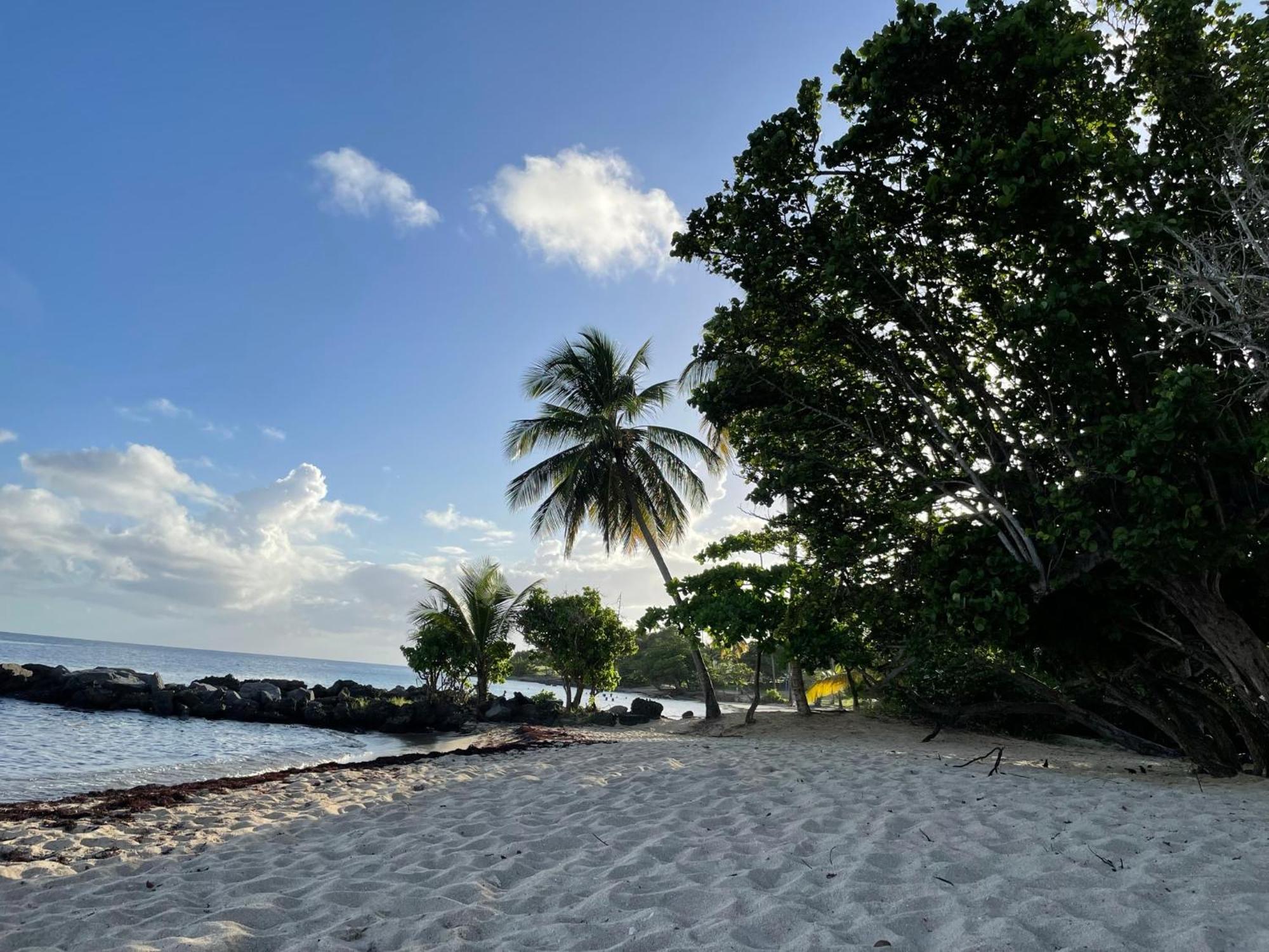 Villa Caraibes سانت لوسي المظهر الخارجي الصورة